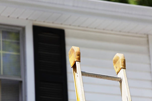 Best Carpet Removal and Disposal  in Black River Falls, WI